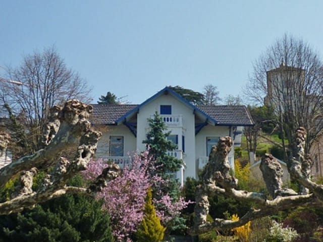 House For Sale On Lake Geneva Haut Savoie Moulin