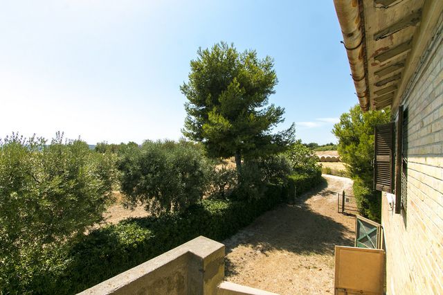 Classic farmhouse with high ceilings, set in 1.5 hectares of its own ...