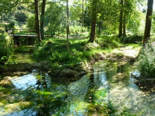 Bois de riviere a vendre